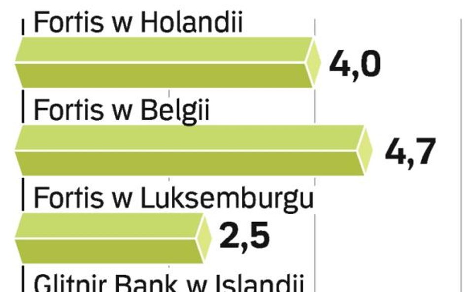 Rządy krajów Beneluksu podzieliły między siebie Fortis. Reykjavik wsparł pożyczką bank Glitnir.