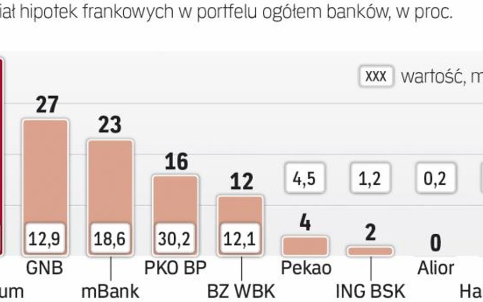 Największy portfel frankowy ma bank PKO BP