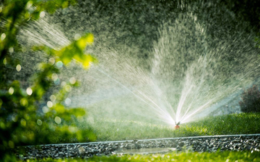 Czy gmina może zakazać podlewania ogródków czy napełniania basenów z powodu deficytu wody?
