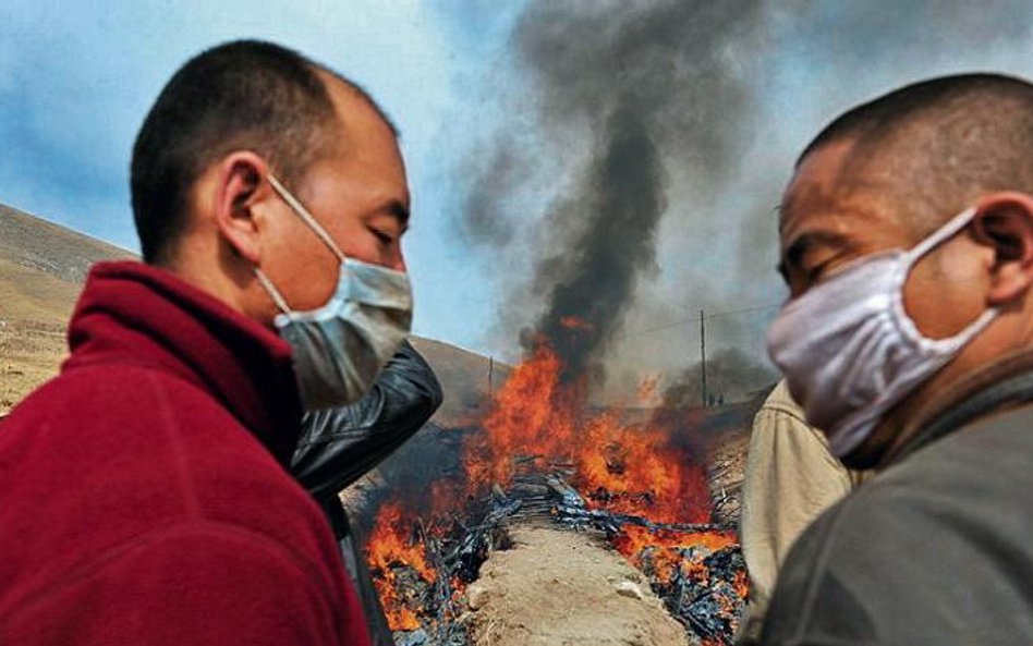 W weekend rozpoczęło się kremowanie zwłok ofiar kataklizmu