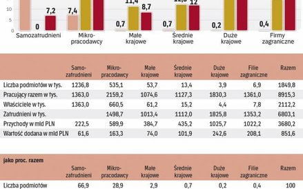 Największą wartość dodaną generują duże przedsiębiorstwa krajowe