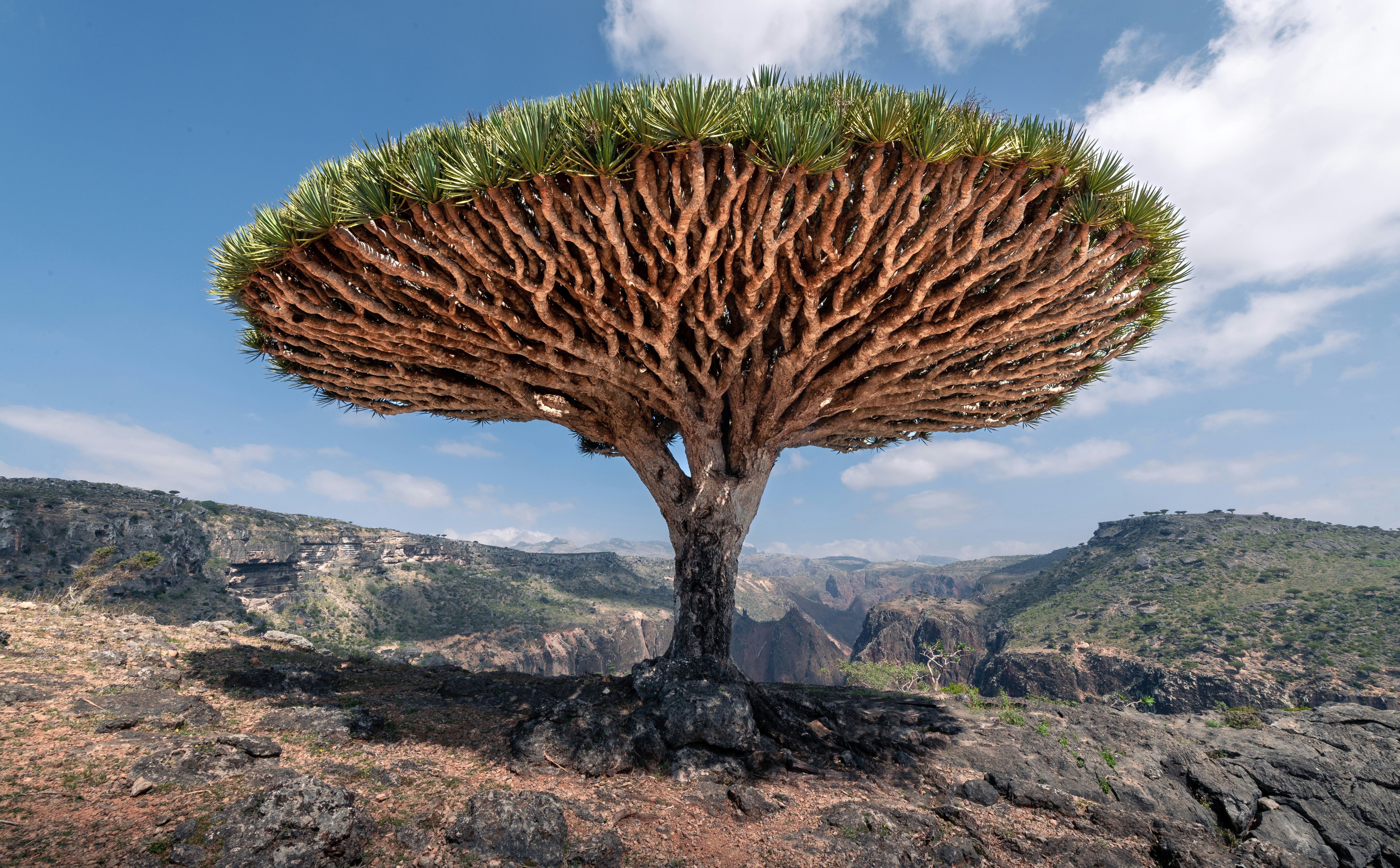Przyrodniczy „raj na Ziemi” może zniknąć. Zagrożeniem zmiany klimatu i turyści