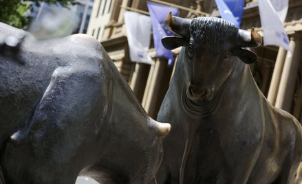 Wąska ścieżka byków do zwycięstwa w 2023 roku