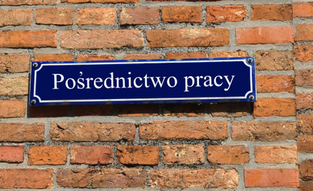 Pośrednicy pracy liczą na dobry rok