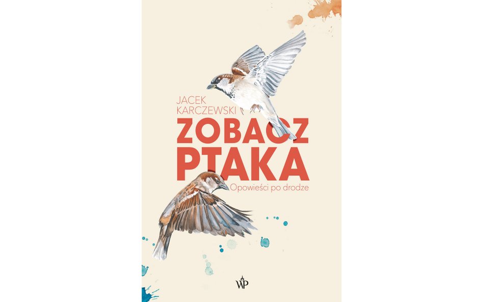 Okładka książki "Zobacz ptaka"