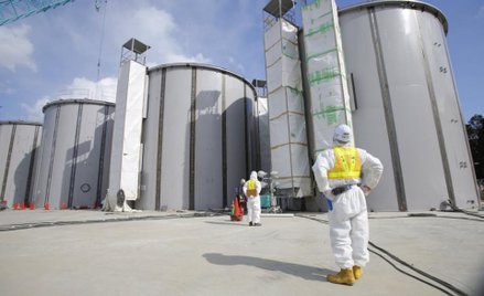 Ogrody kwitną w Fokushimie