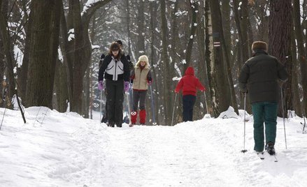 Aktywny wypoczynek w Kampinosie