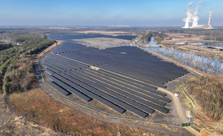 Tauron zwiększa potencjał w słońcu. Pomógł ML System