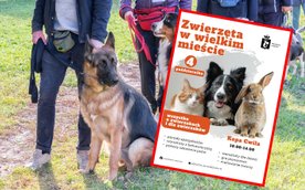 Piknik „Zwierzęta w wielkim mieście” już 4 października na Ursynowie