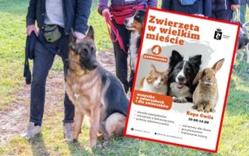 Piknik „Zwierzęta w wielkim mieście” już 4 października na Ursynowie