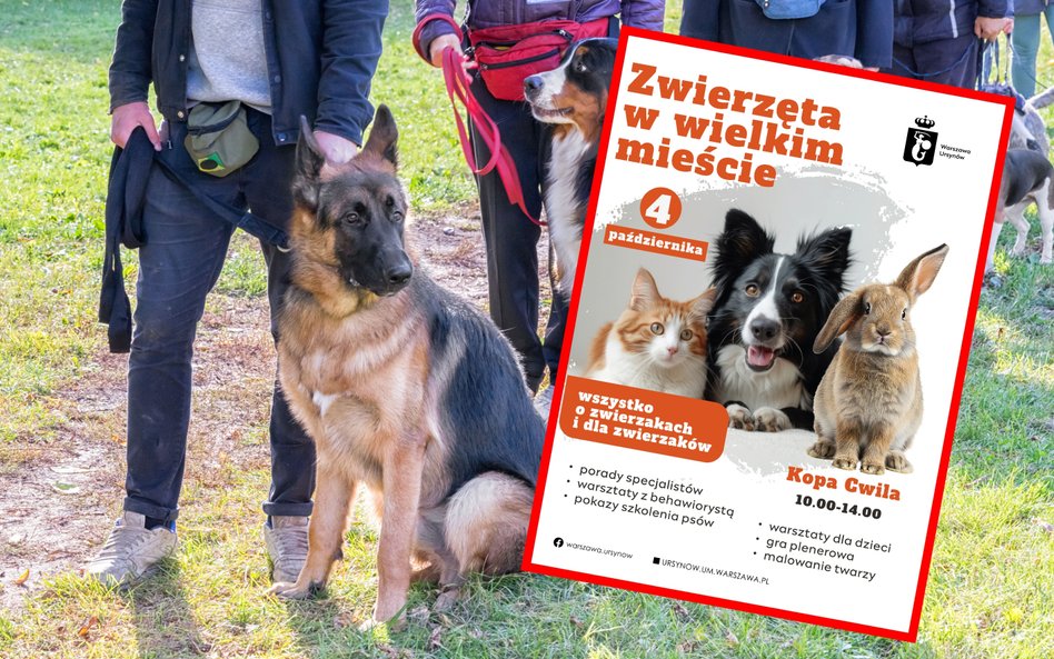 Piknik „Zwierzęta w wielkim mieście” już 4 października na Ursynowie