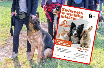 Piknik „Zwierzęta w wielkim mieście” już 4 października na Ursynowie