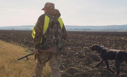 Na Słowacji wykryto już dziesięć ognisk ASF. Słowacy rozpoczynają intensywne polowania na roznoszące