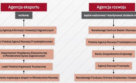 Los PAIiiZ wydaje się przesądzony. inne instytucje, jak np. NCBR, PARP czy ARP, mają zachować odrębn