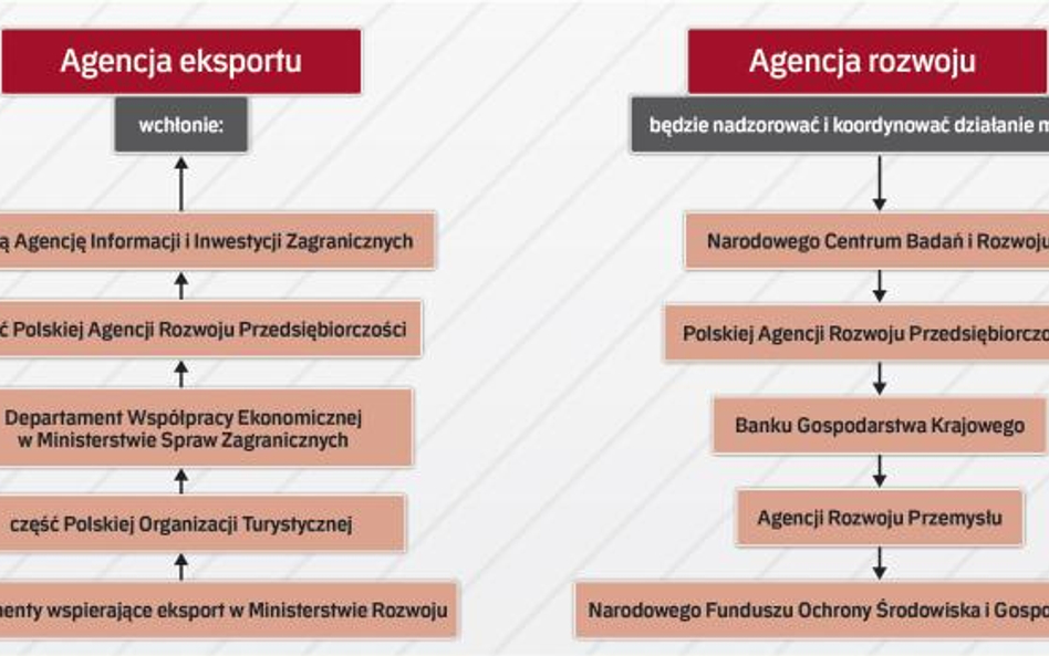 Los PAIiiZ wydaje się przesądzony. inne instytucje, jak np. NCBR, PARP czy ARP, mają zachować odrębn