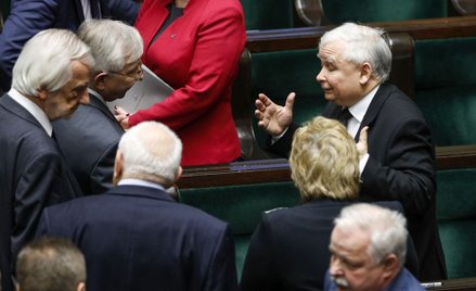 Sondaż: PiS z poparciem dwa razy większym niż KO