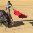 fot. Angel Luis Simon Marti