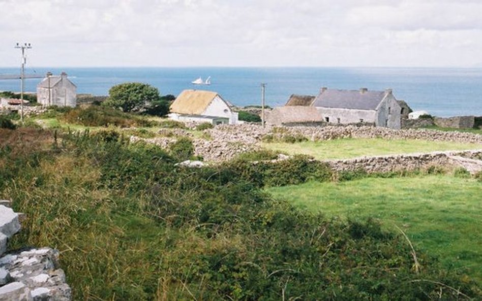 Irlandzka wysepka pisze list otwarty: Zamieszkajcie tutaj