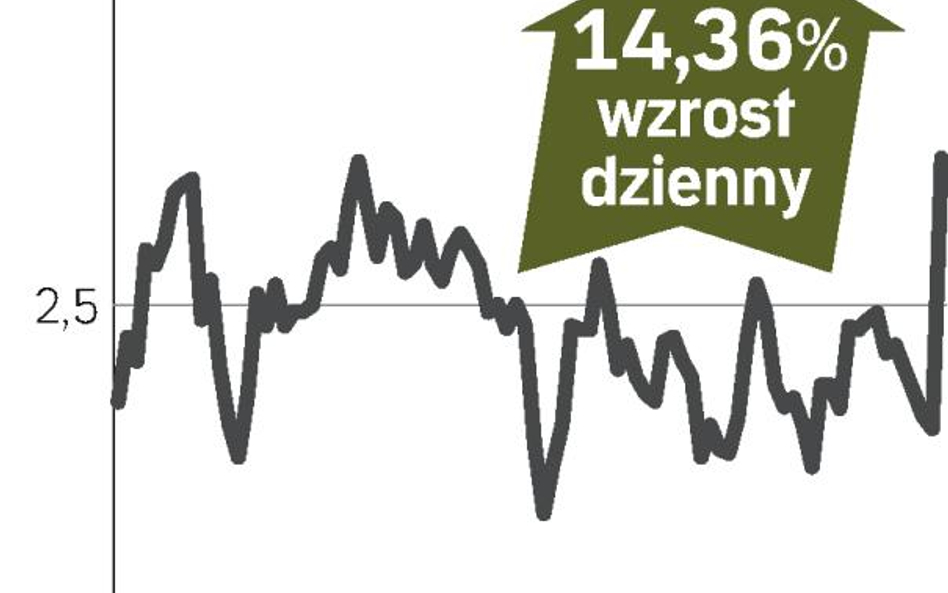 Brisa – spółka, o której się mówi w Lizbonie