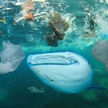 Naukowcy alarmują: Woda wszędzie skażona mikroplastikiem