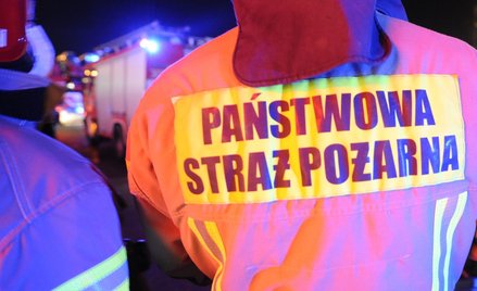 Płonie dawna fabryka mebli w Sulechowie. Kłęby dymu nad miastem