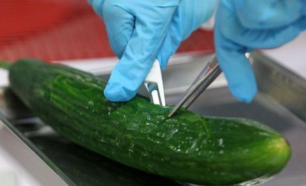 Zmarła jedenasta ofiara bakterii EHEC