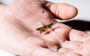Bezprzewodowy robot-mucha wzbił się w powietrze