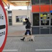 Polityczny fortel z cudzoziemcami