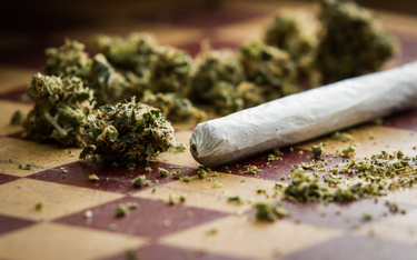 Po wejściu w życie nowych przepisów nie będzie można kupować marihuany "rekreacyjnej"