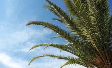 Ustawowo należny wypoczynek jest płatny nie gorzej niż praca