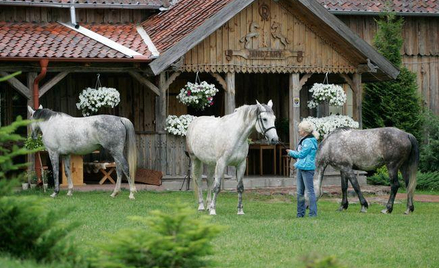 Agroturystyka nie uniknie inspektorów