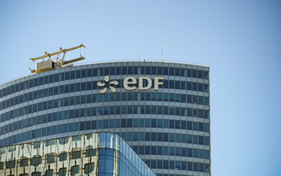 Francuski rząd podał cenę za akcję EDF w planowanym wezwaniu