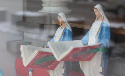 Lewicowa wrażliwośc i wysublimowana subtelność. Nowy Wspaniały Świat Krytyki Politycznej. 2011