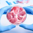 Produkcja mięsa w laboratorium pozwala zaoszczędzić 90 proc. gruntów, 96 proc. wody i 39 proc. energ