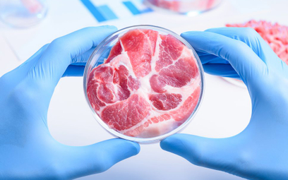 Produkcja mięsa w laboratorium pozwala zaoszczędzić 90 proc. gruntów, 96 proc. wody i 39 proc. energ