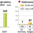 Wadą elektrowni na biogaz jest ich niska wydajność. Zaletą – łatwość pozyskania surowca. Dlatego będ