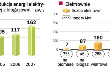 Wadą elektrowni na biogaz jest ich niska wydajność. Zaletą – łatwość pozyskania surowca. Dlatego będ