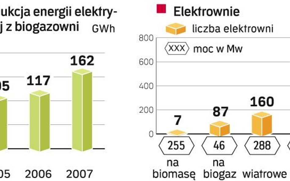 Wadą elektrowni na biogaz jest ich niska wydajność. Zaletą – łatwość pozyskania surowca. Dlatego będ