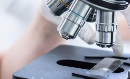 PO szachuje PiS sprawą in vitro