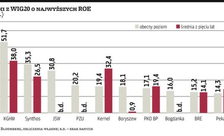 ROE, czyli obowiązkowa pozycja dla „fundamentalistów”