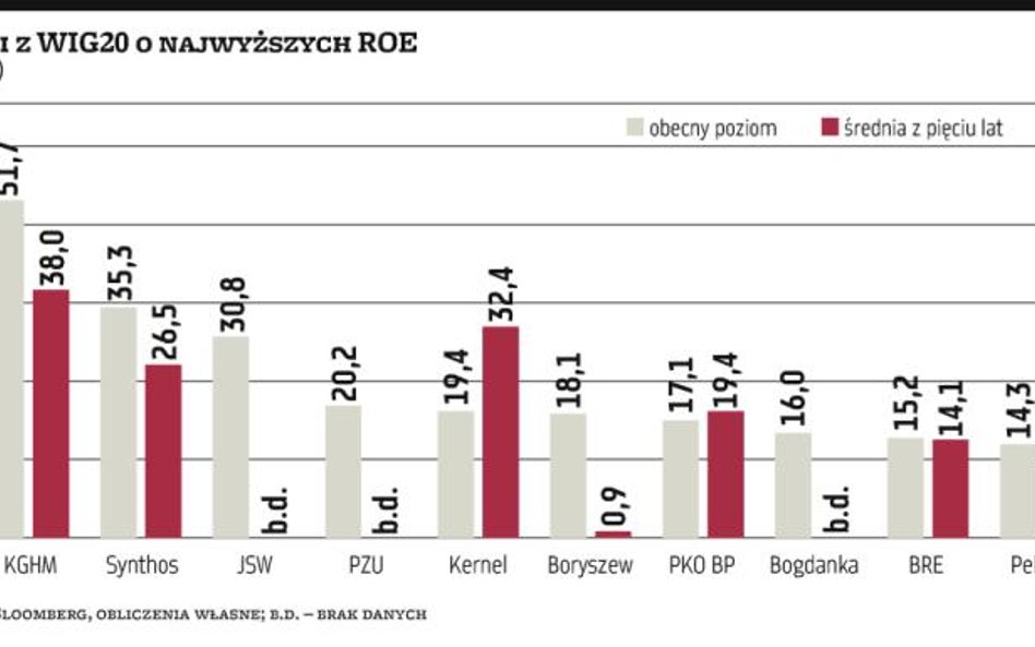 ROE, czyli obowiązkowa pozycja dla „fundamentalistów”