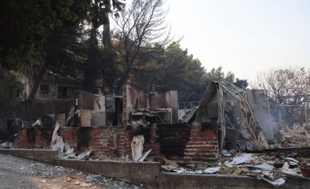 Skutki jednego z pożarów w Chorwacji