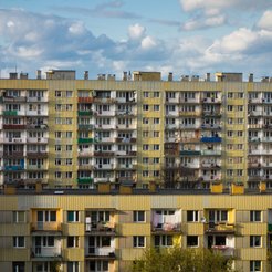 Katarzyna Wójcik: Plasterek na ranę czy prawdziwy lek?