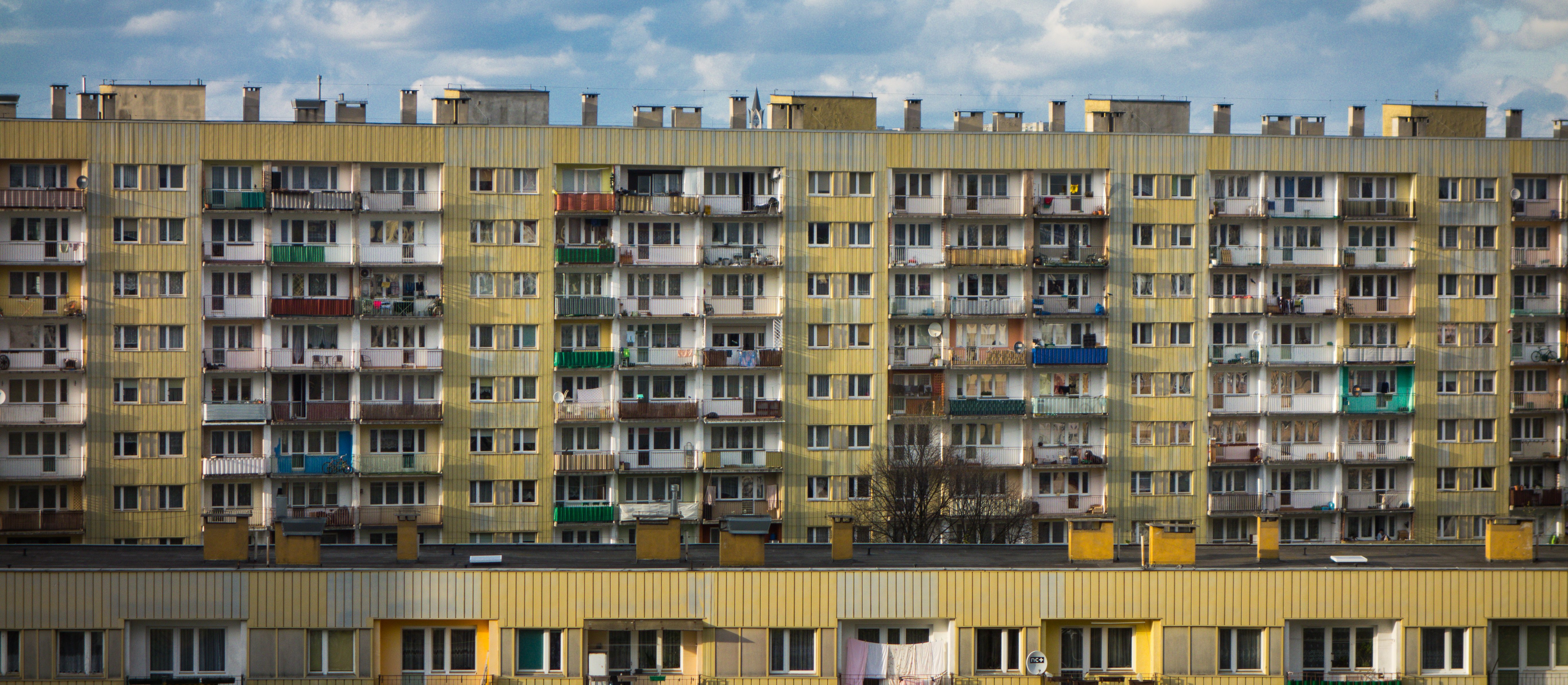 Katarzyna Wójcik: Plasterek na ranę czy prawdziwy lek?