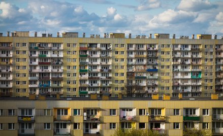 Katarzyna Wójcik: Plasterek na ranę czy prawdziwy lek?