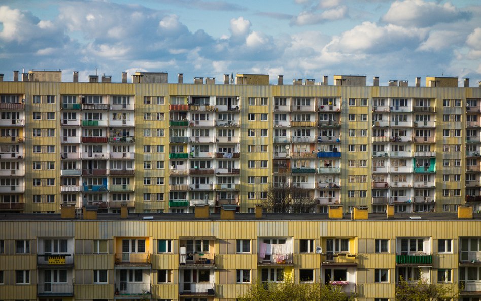 Katarzyna Wójcik: Plasterek na ranę czy prawdziwy lek?