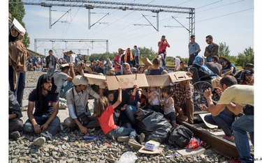 Europa dla imigrantów i uchodźców. Praktyczny przewodnik Magnum Photos