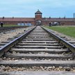 Edukacja w miejscu pamięci. Uczniowie pojadą do Auschwitz bez opłat za zwiedzanie