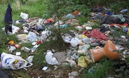 Kto odpowie za śmieci porzucone na cudzej działce