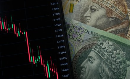 Złoty łapie oddech po rajdzie. Dolar i euro w górę